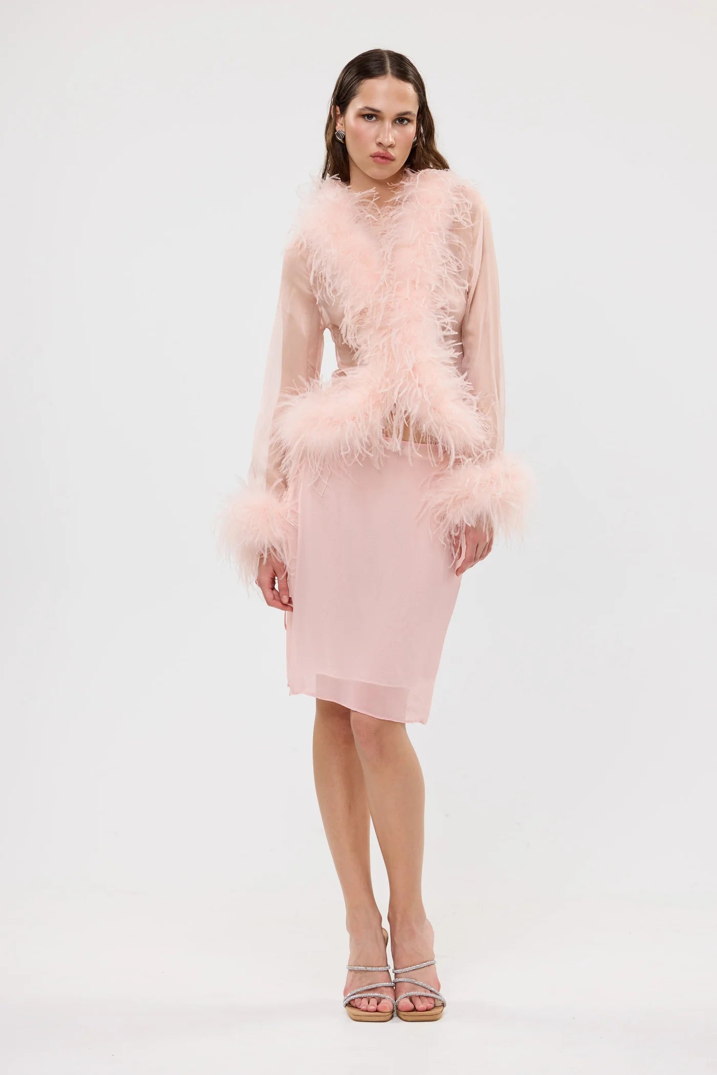 Bubish - Gigi Sheer Feather Blouse | Blush