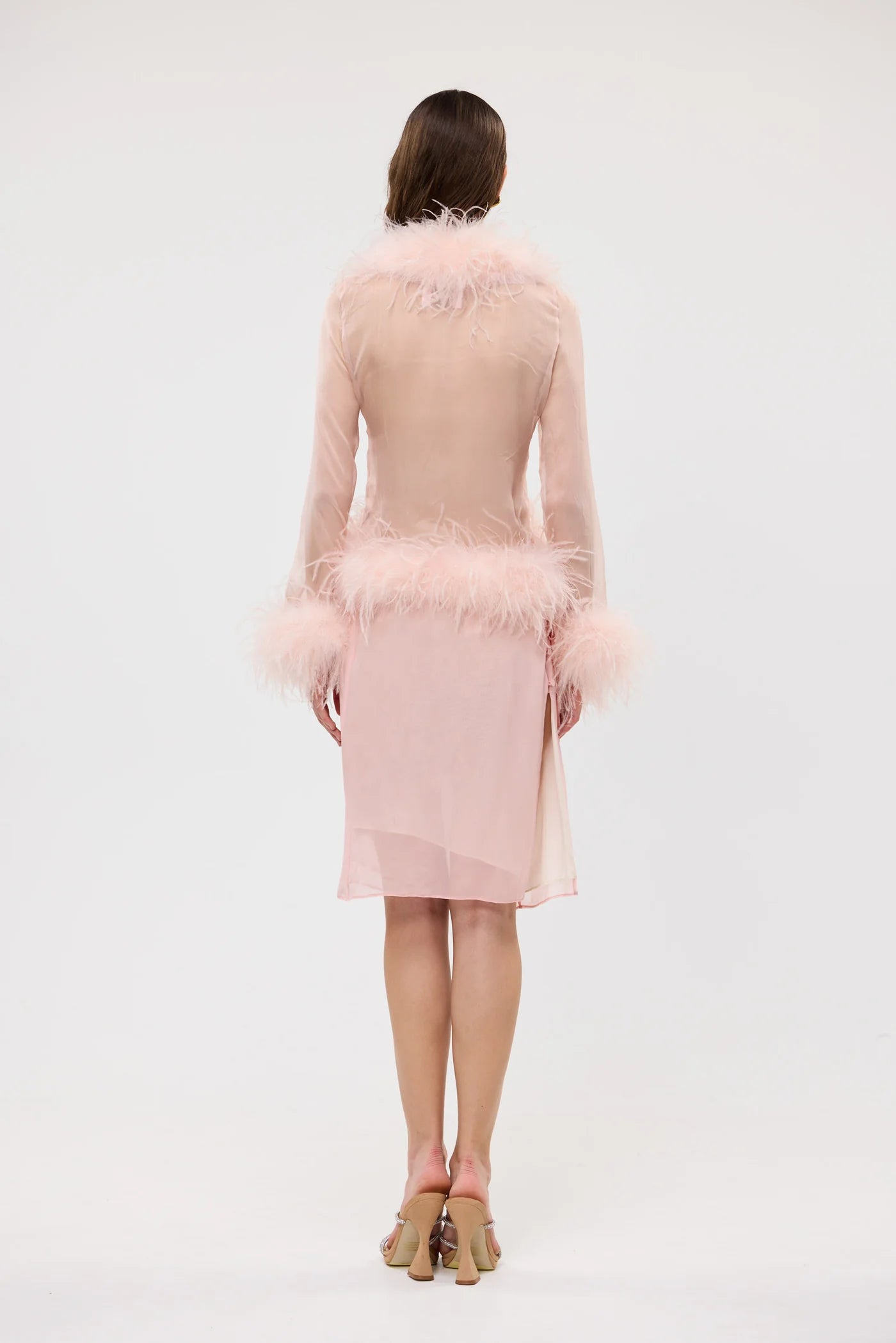 Bubish - Gigi Sheer Feather Blouse | Blush
