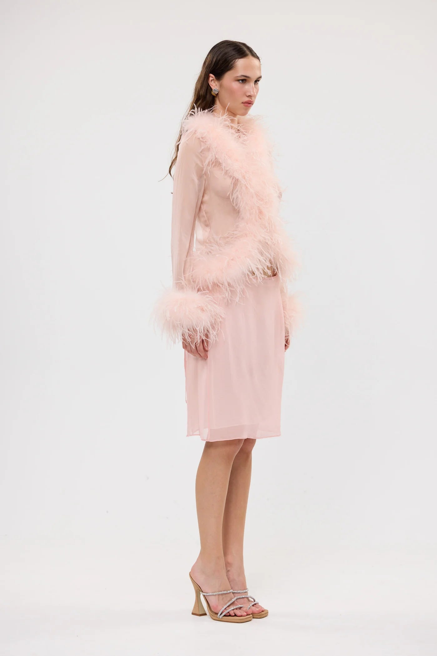 Bubish - Gigi Sheer Feather Blouse | Blush